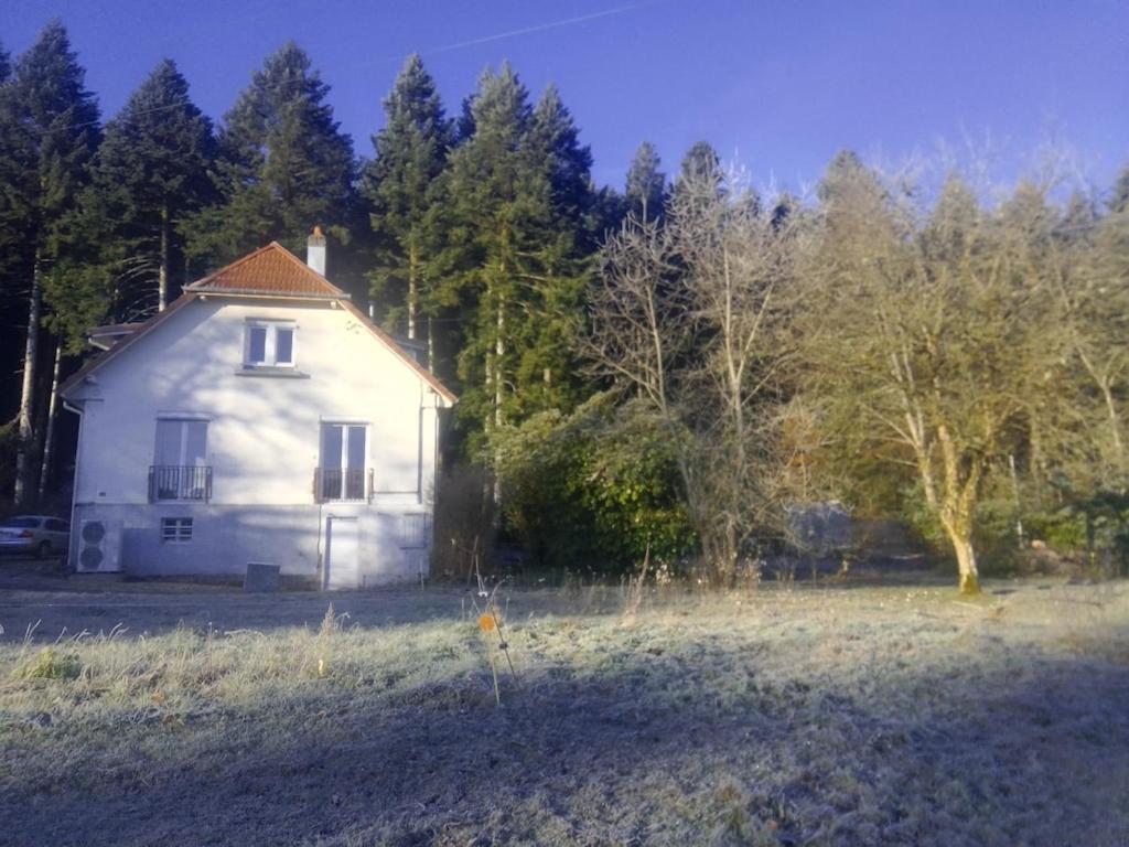 Vosges House 110 M2 In The Heart Of Nature L'Oree Du Bois Saint-Michel-sur-Meurthe Екстер'єр фото