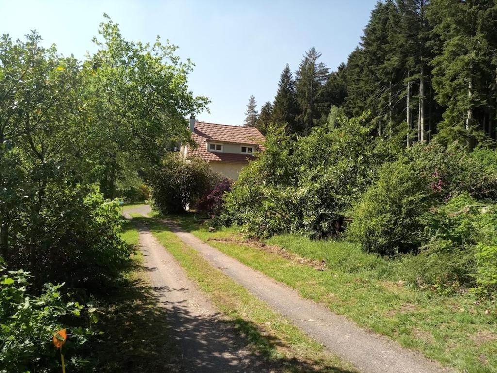 Vosges House 110 M2 In The Heart Of Nature L'Oree Du Bois Saint-Michel-sur-Meurthe Екстер'єр фото
