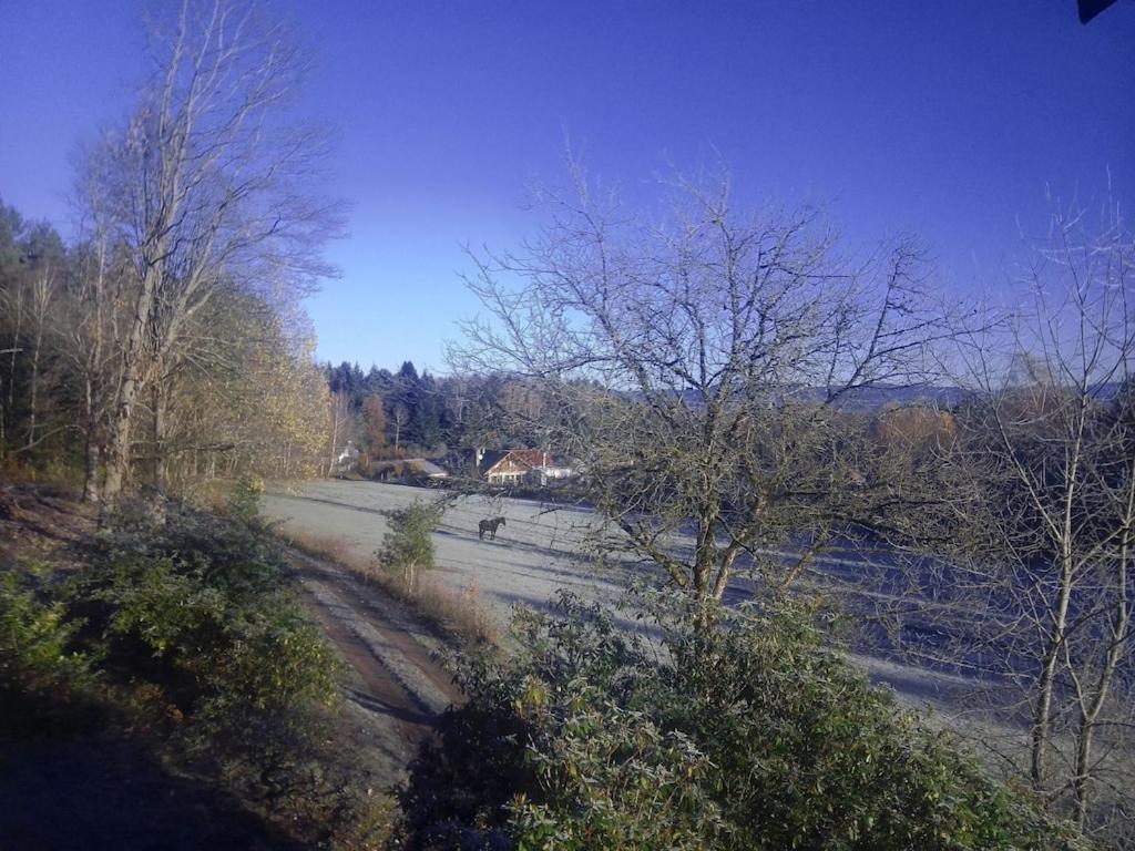 Vosges House 110 M2 In The Heart Of Nature L'Oree Du Bois Saint-Michel-sur-Meurthe Екстер'єр фото