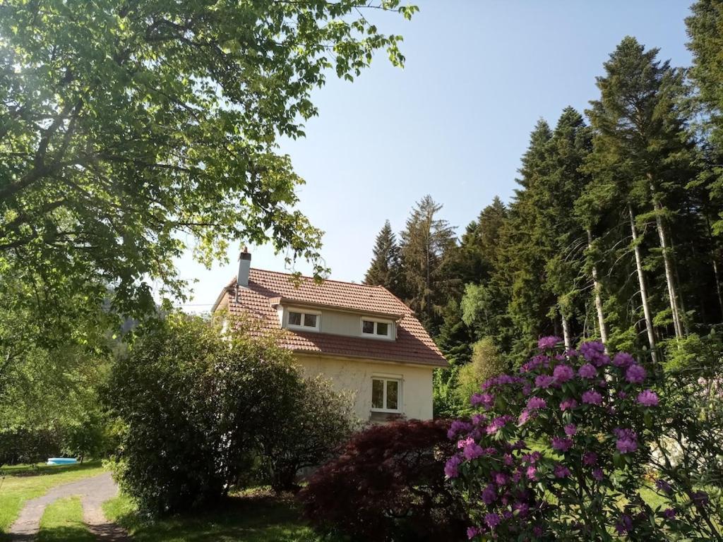 Vosges House 110 M2 In The Heart Of Nature L'Oree Du Bois Saint-Michel-sur-Meurthe Екстер'єр фото