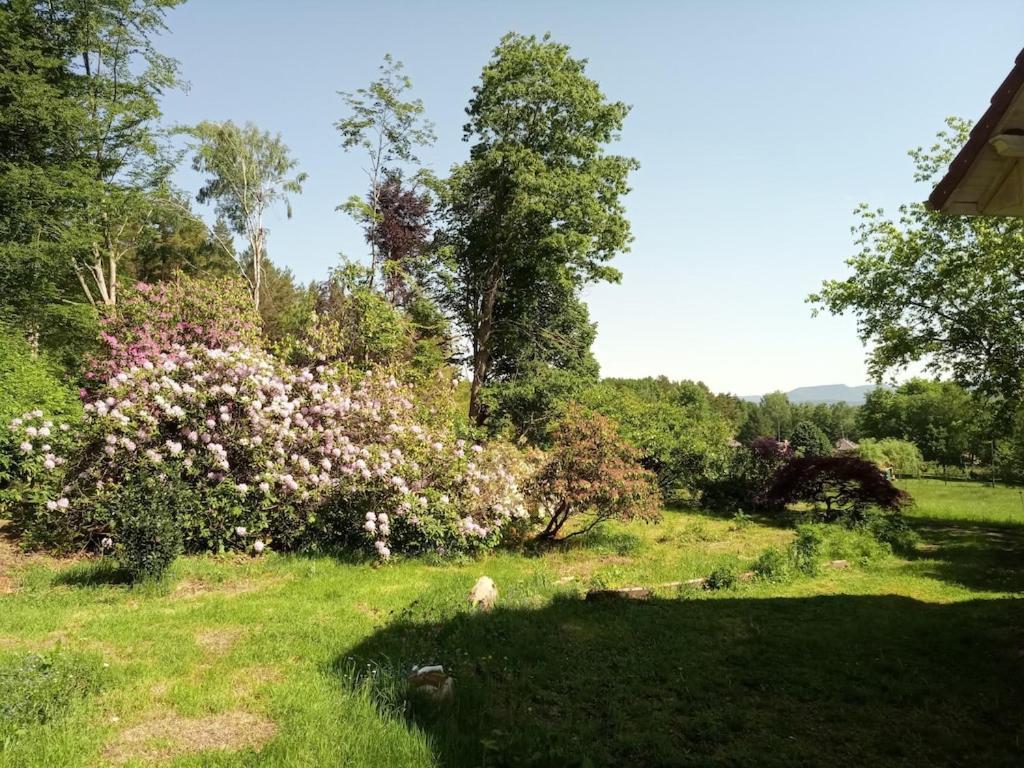 Vosges House 110 M2 In The Heart Of Nature L'Oree Du Bois Saint-Michel-sur-Meurthe Екстер'єр фото